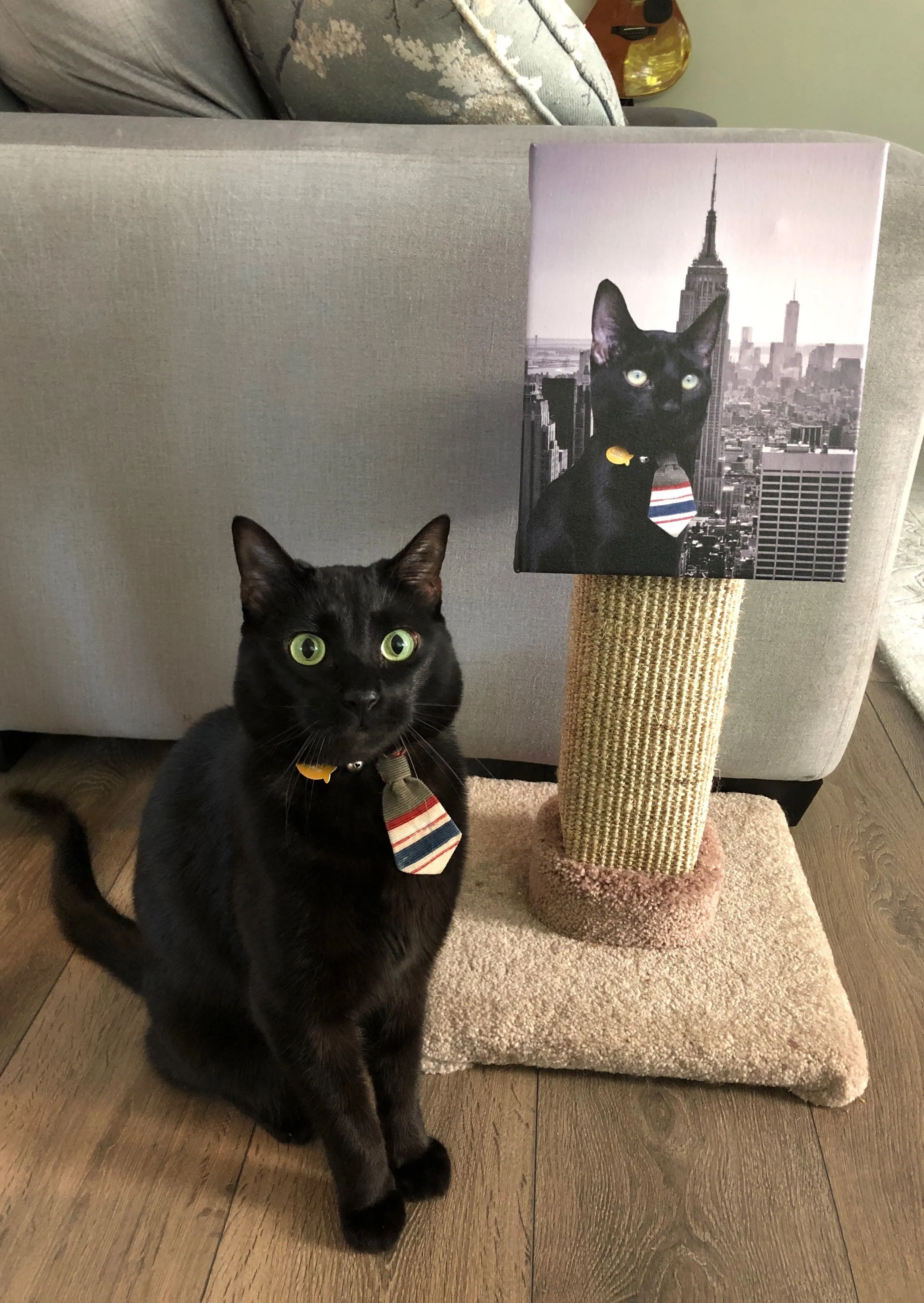 Custom Pet Cut-Out Canvas Print