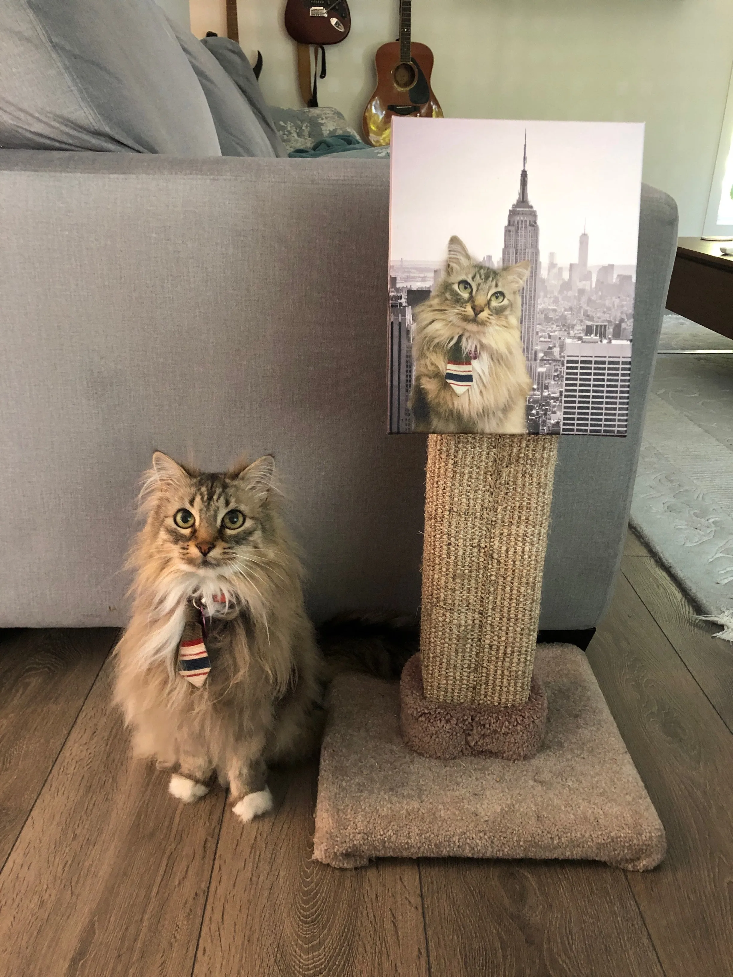 Custom Pet Cut-Out Canvas Print