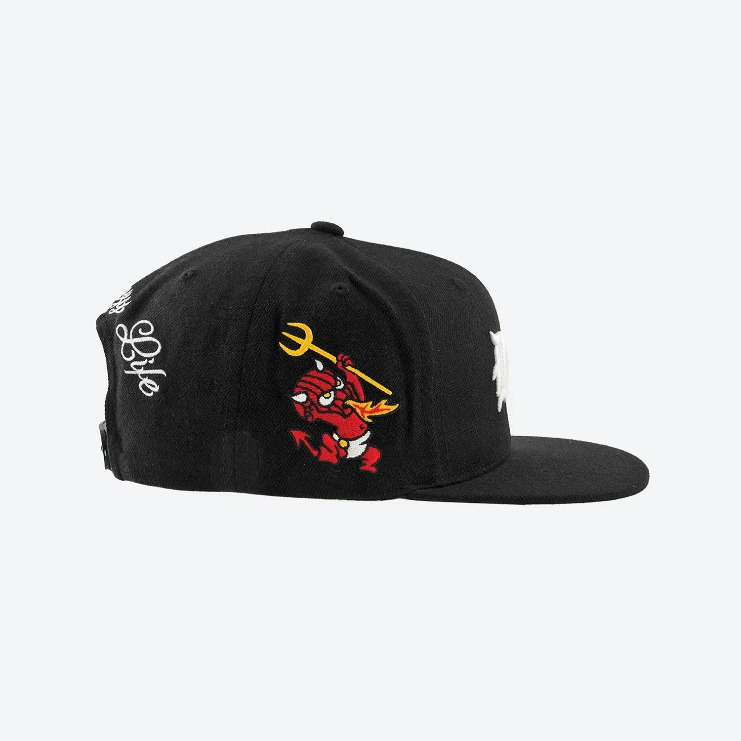 DGK Crazy Life Snapback