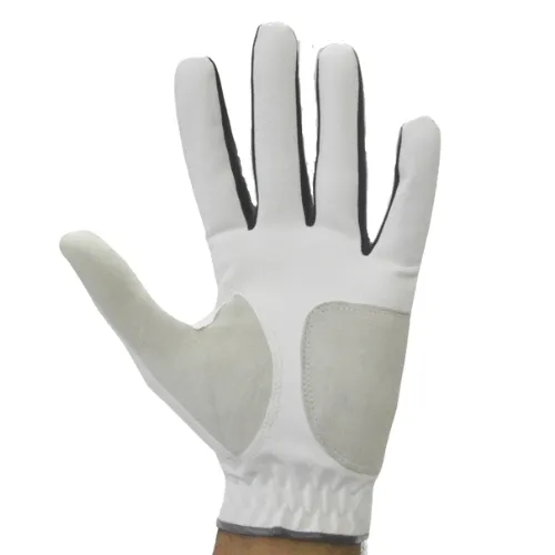 GolfBasic 2.0 All Weather Golf Glove