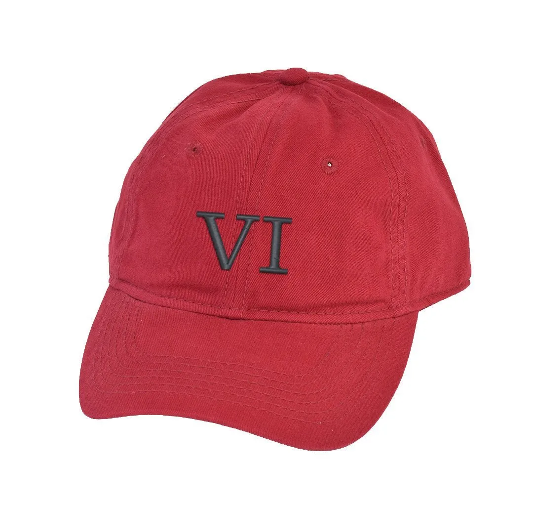 VI Dad Hat